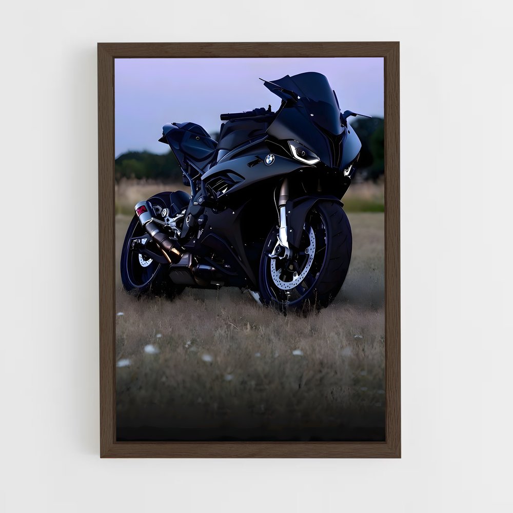 Poster splendide rr – affiche Beta (vue 5)